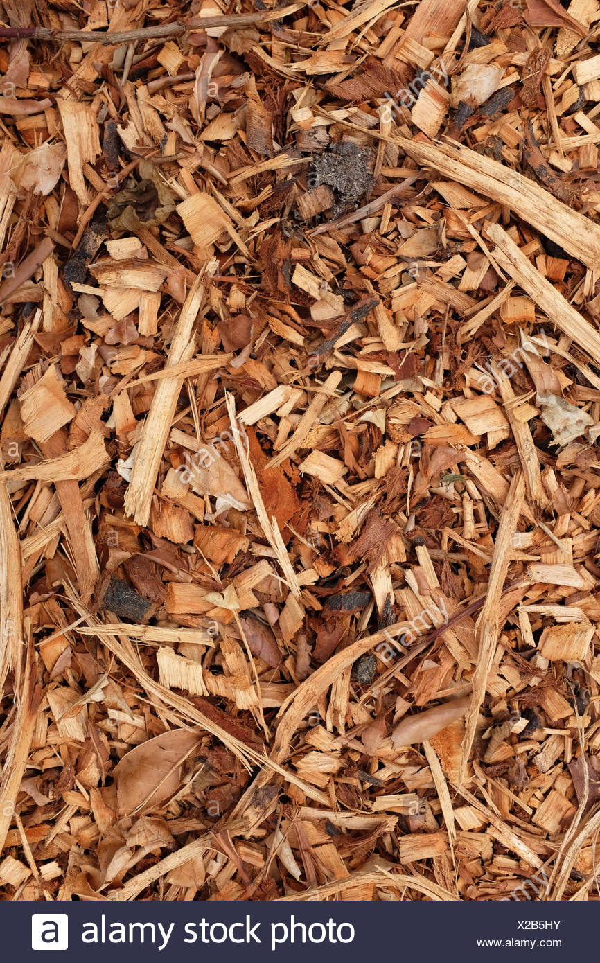 wood chippings