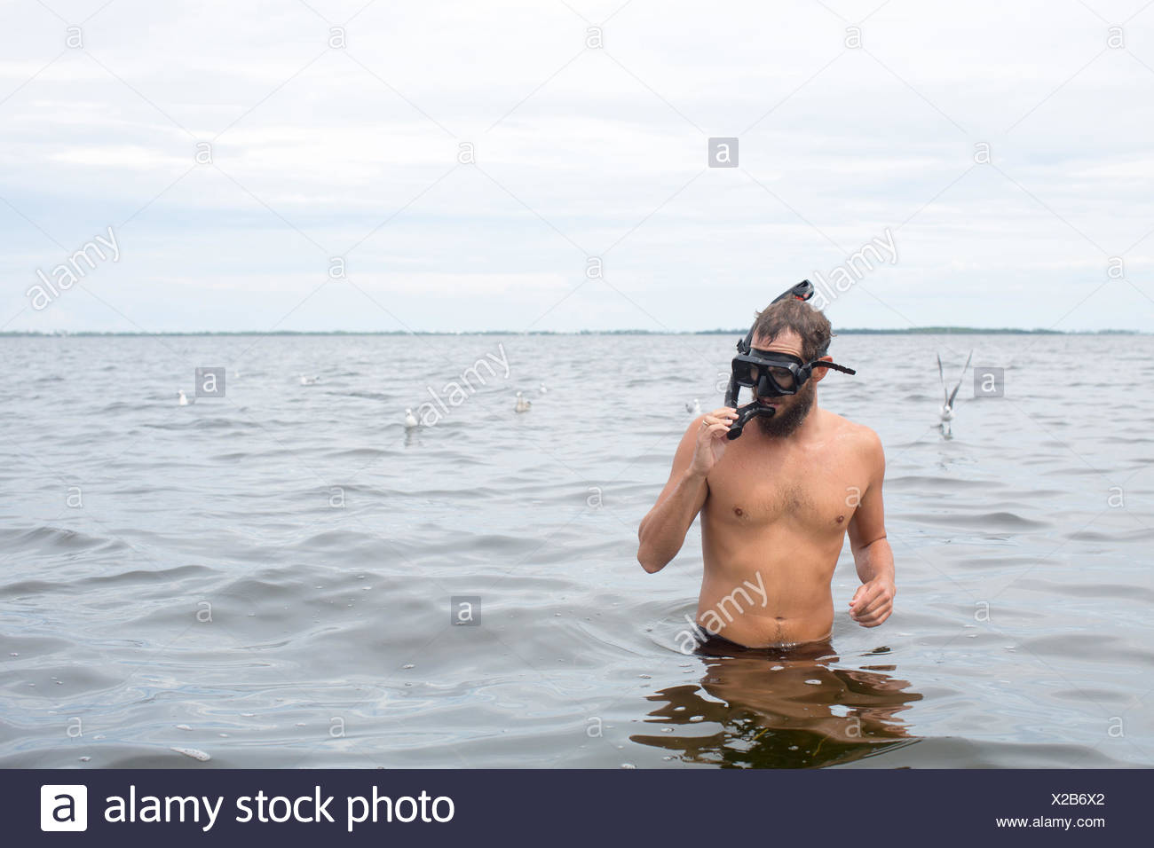 Download Page 2 Snorkel Mask High Resolution Stock Photography And Images Alamy PSD Mockup Templates