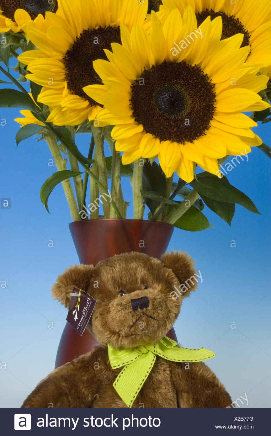 teddy bear sunflower bouquet