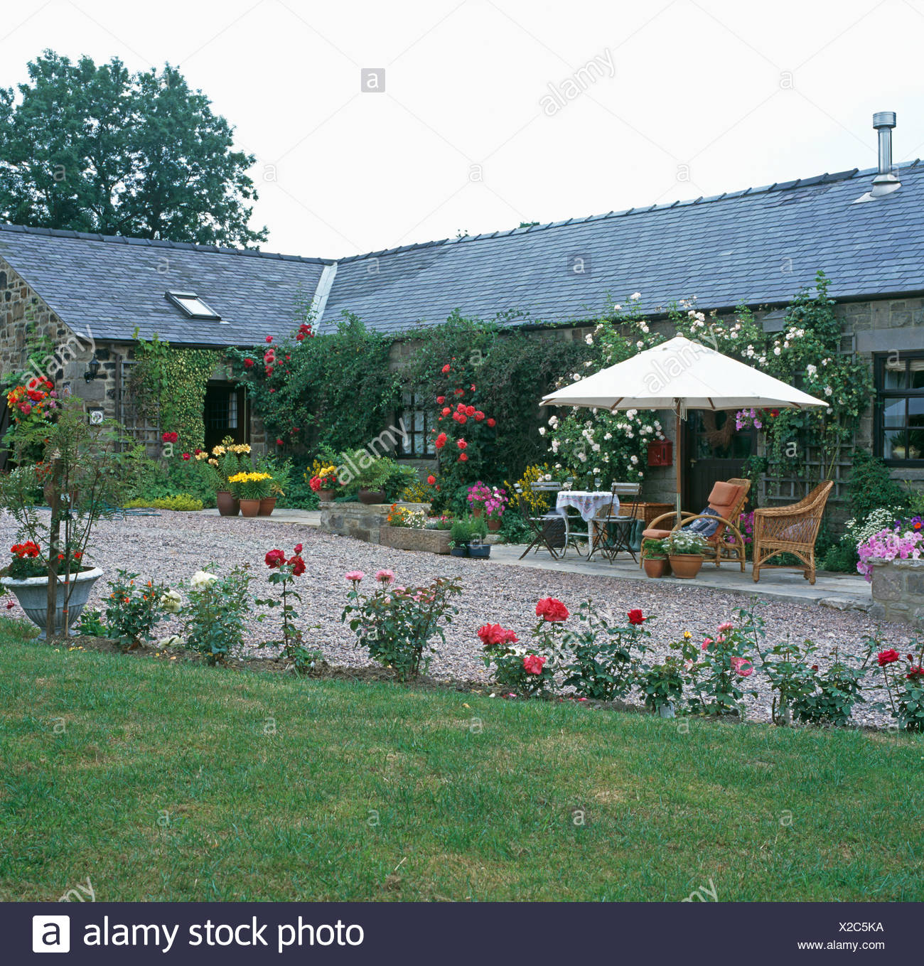 Lawn Edged With Rose Beds In Front Of Single Storey Barn