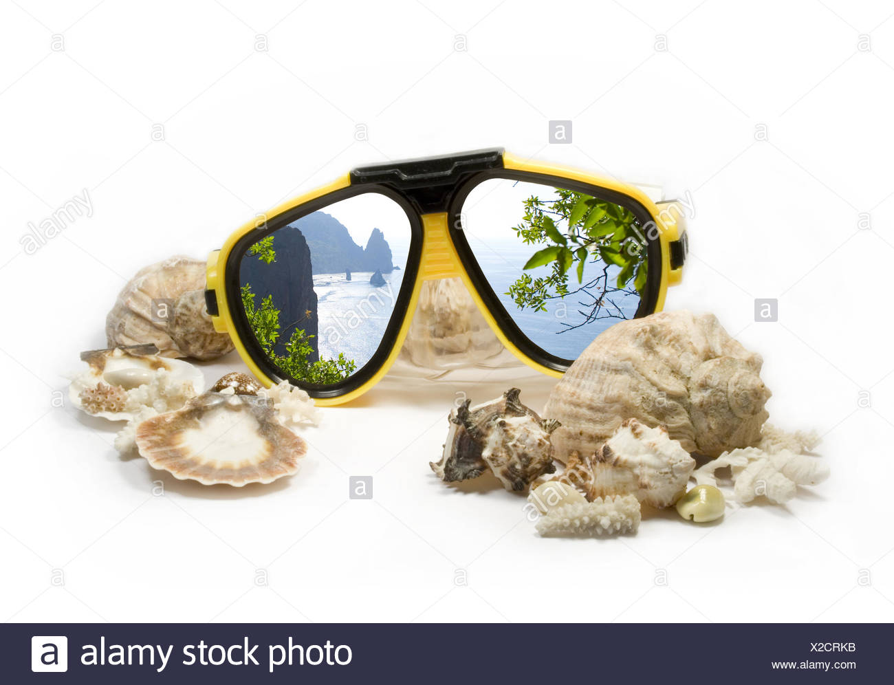 Download Yellow Diving Mask With Sea Shells Stock Photo Alamy PSD Mockup Templates