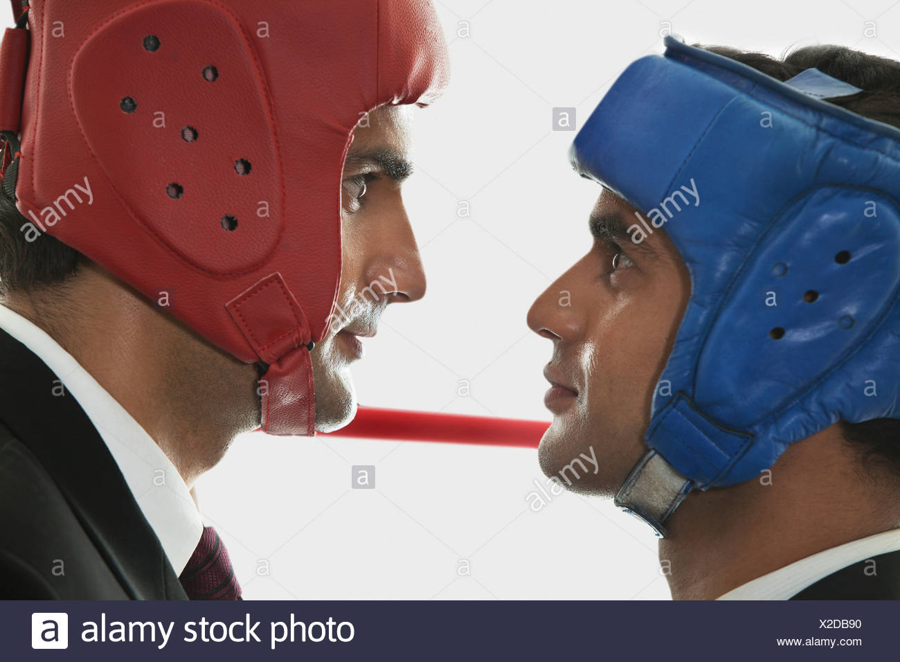 Boxers Face To Face High Resolution Stock Photography and Images Alamy