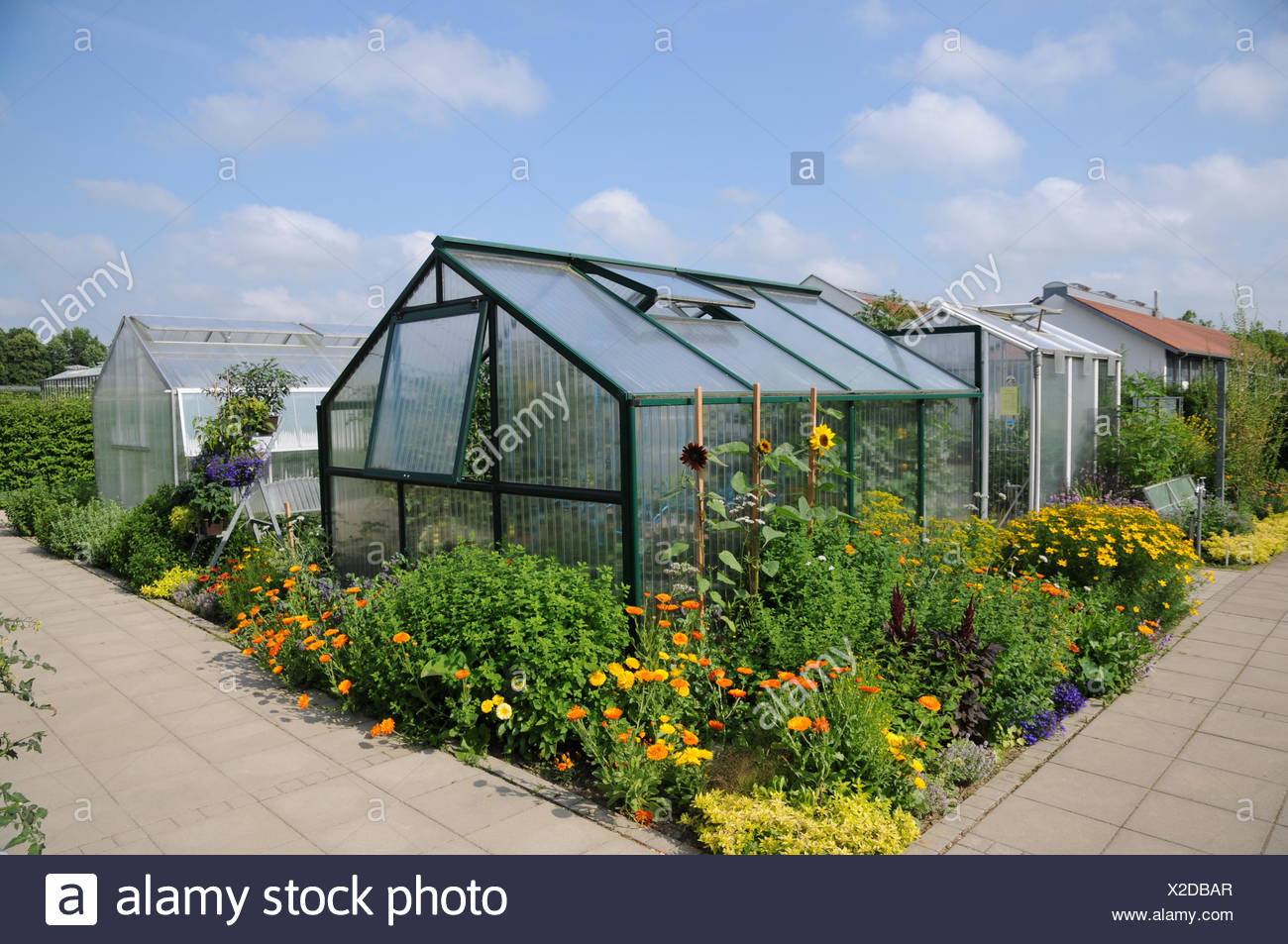 Greenhouses Glass High Resolution Stock Photography and Images - Alamy
