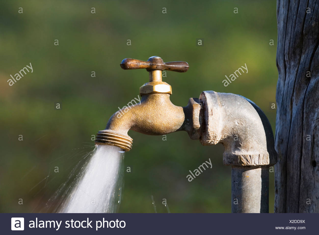 Water Gushing Tap Stock Photos Water Gushing Tap Stock Images