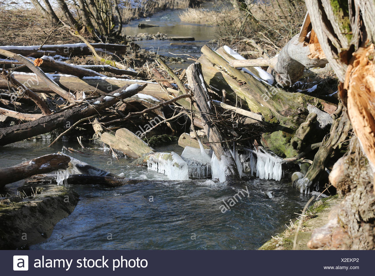 River Damm Stock Photo