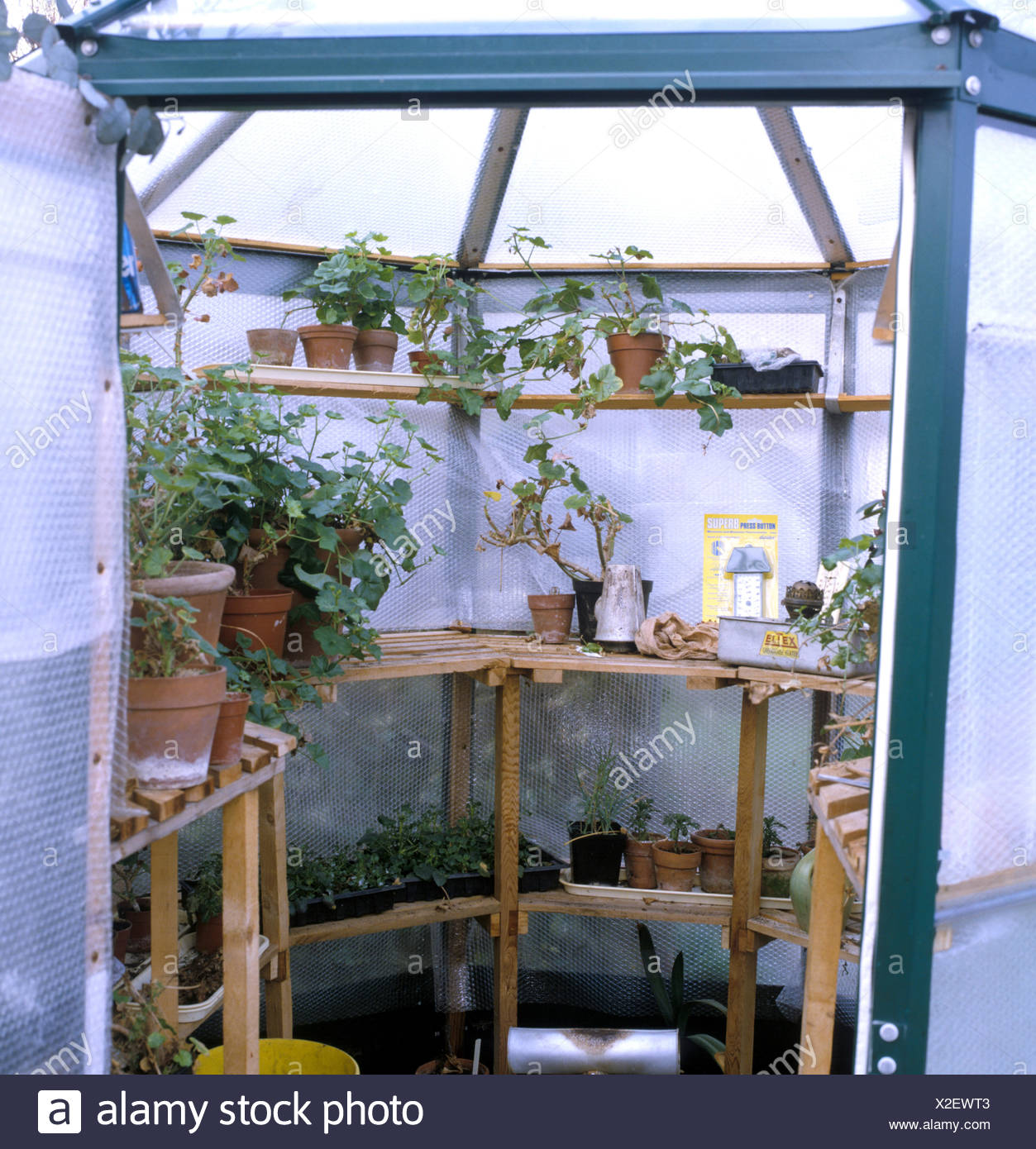 Greenhouse Maintenance Insulate Glasshouse With Bubble Plastic In