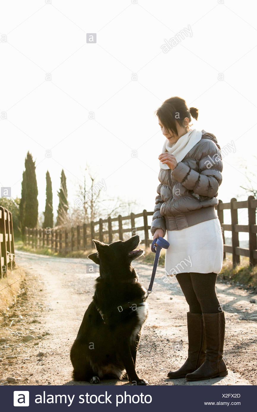 adult dog obedience training