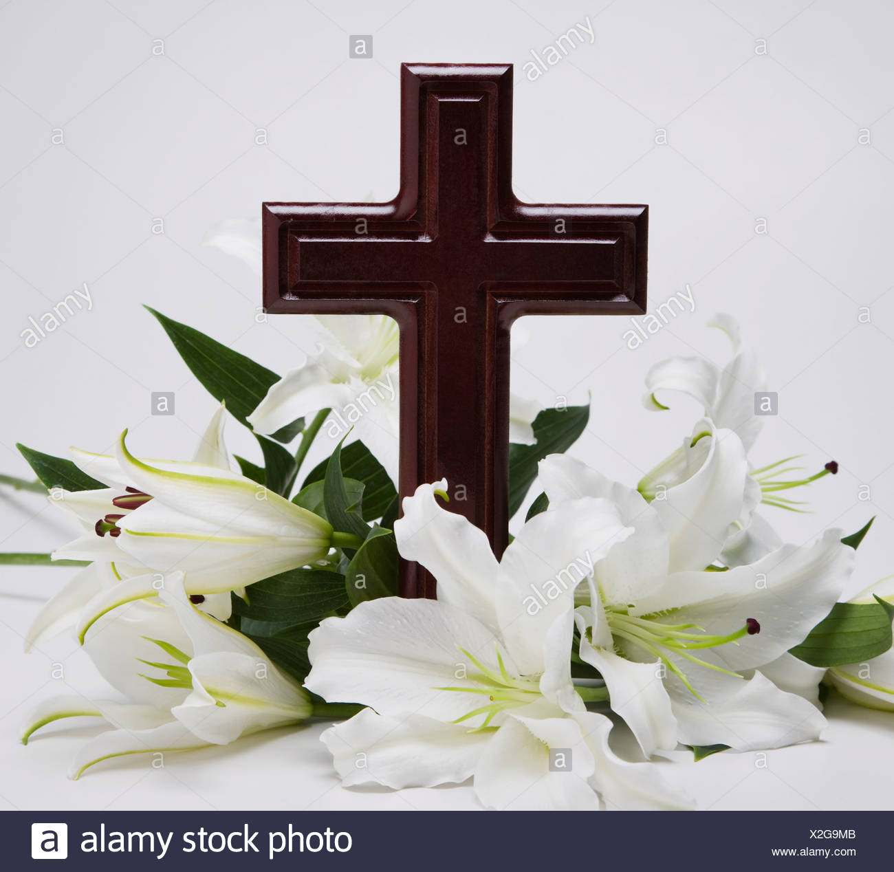 Cross Easter Lilies High Resolution Stock Photography and Images - Alamy