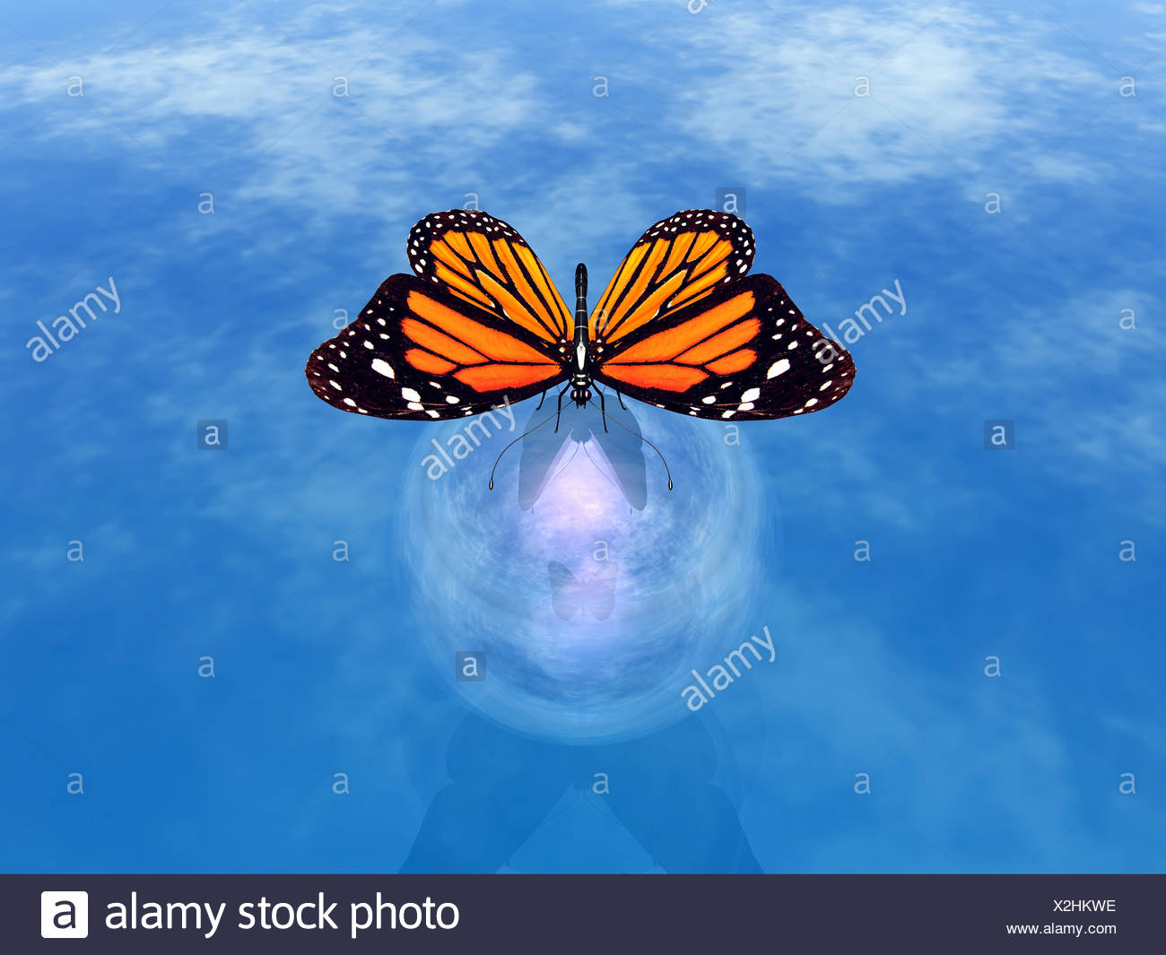 bubble butterfly