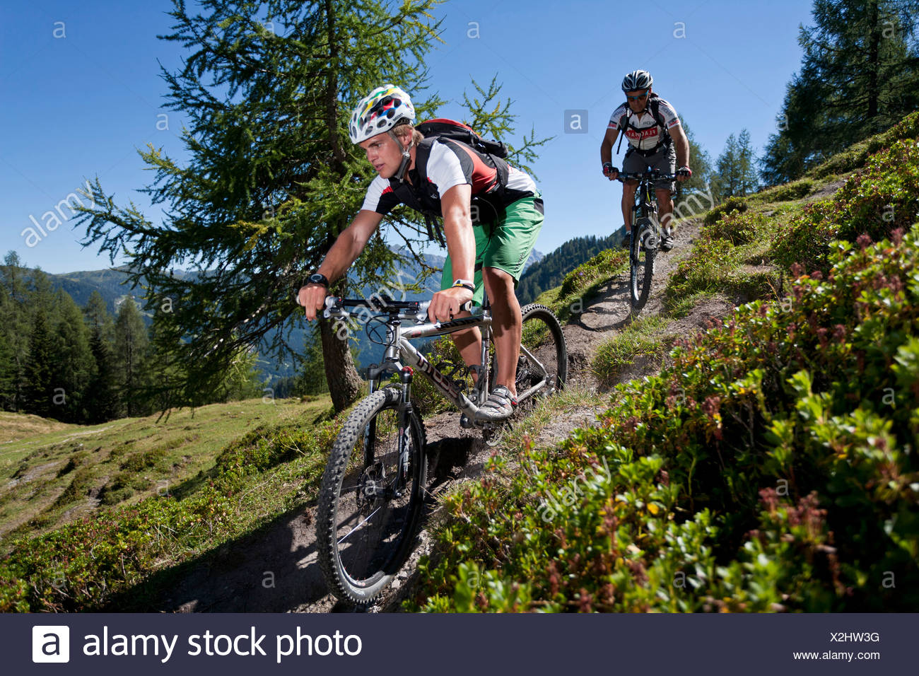 mountain biking fitness