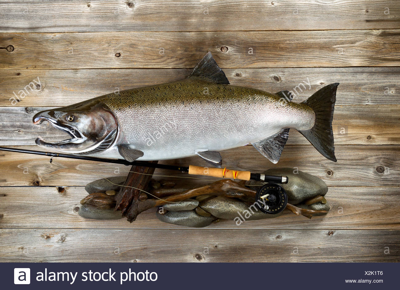 salmon fishing gear