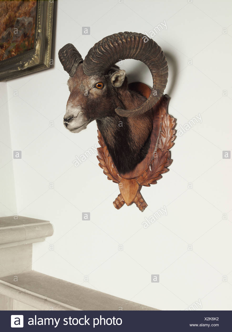 stuffed goat head