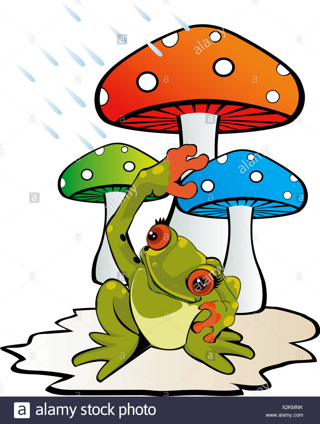 photo Frog On Mushroom Drawing Outline https www alamy com amphibian frog mushroom image277028575 html