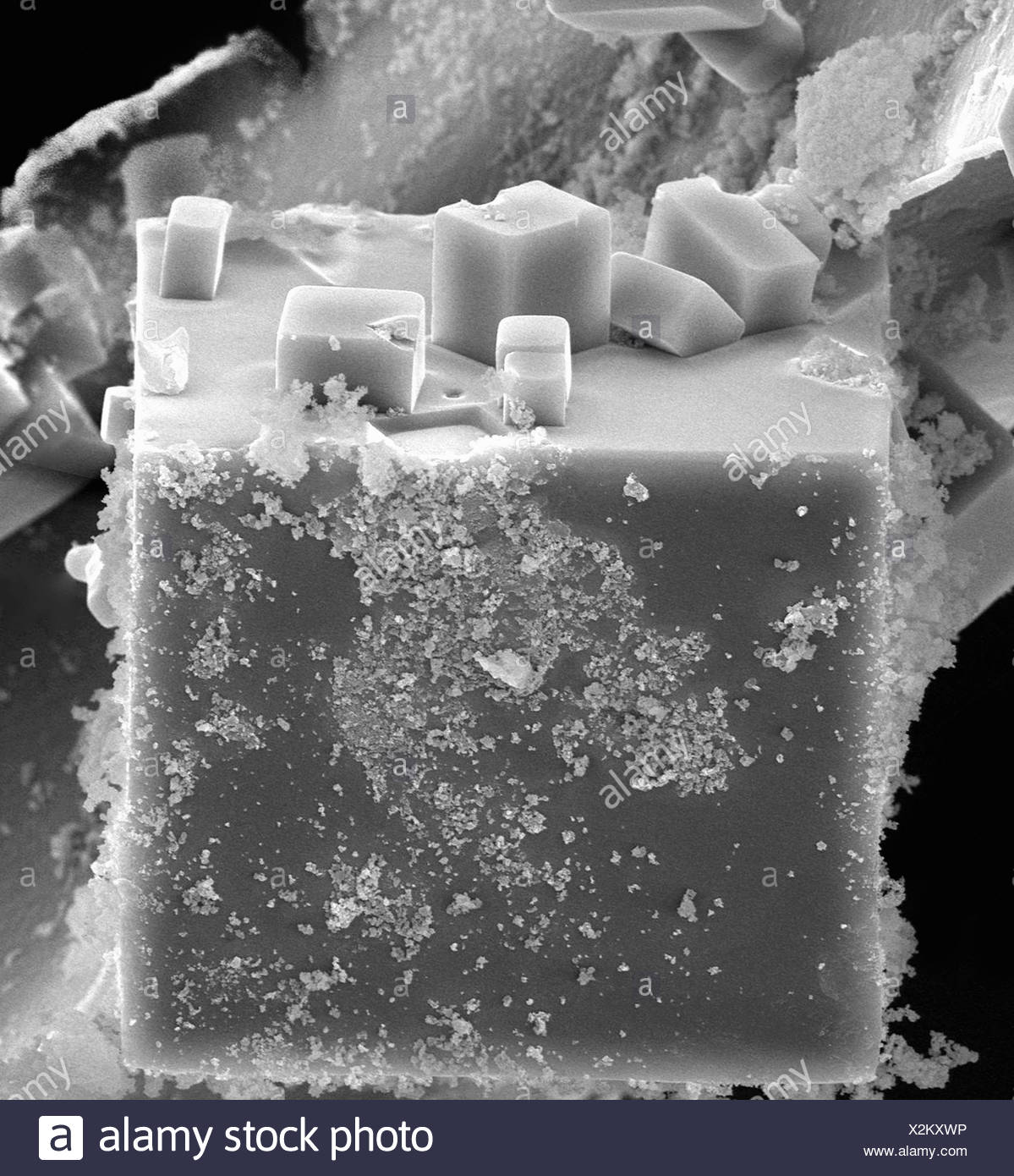 Salt Microscope High Resolution Stock Photography and Images Alamy