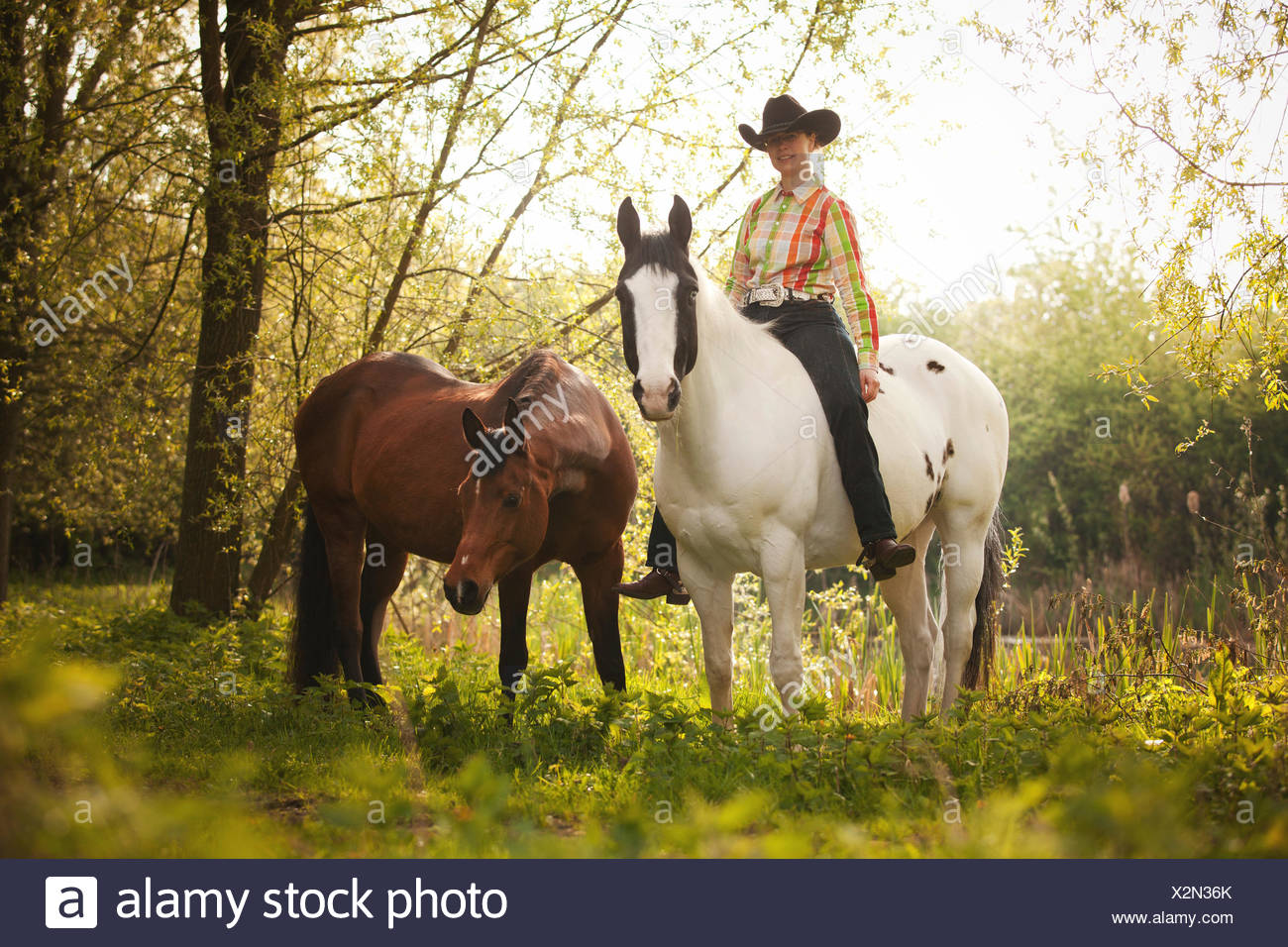 Bareback Horse Rider High Resolution Stock Photography and Images - Alamy