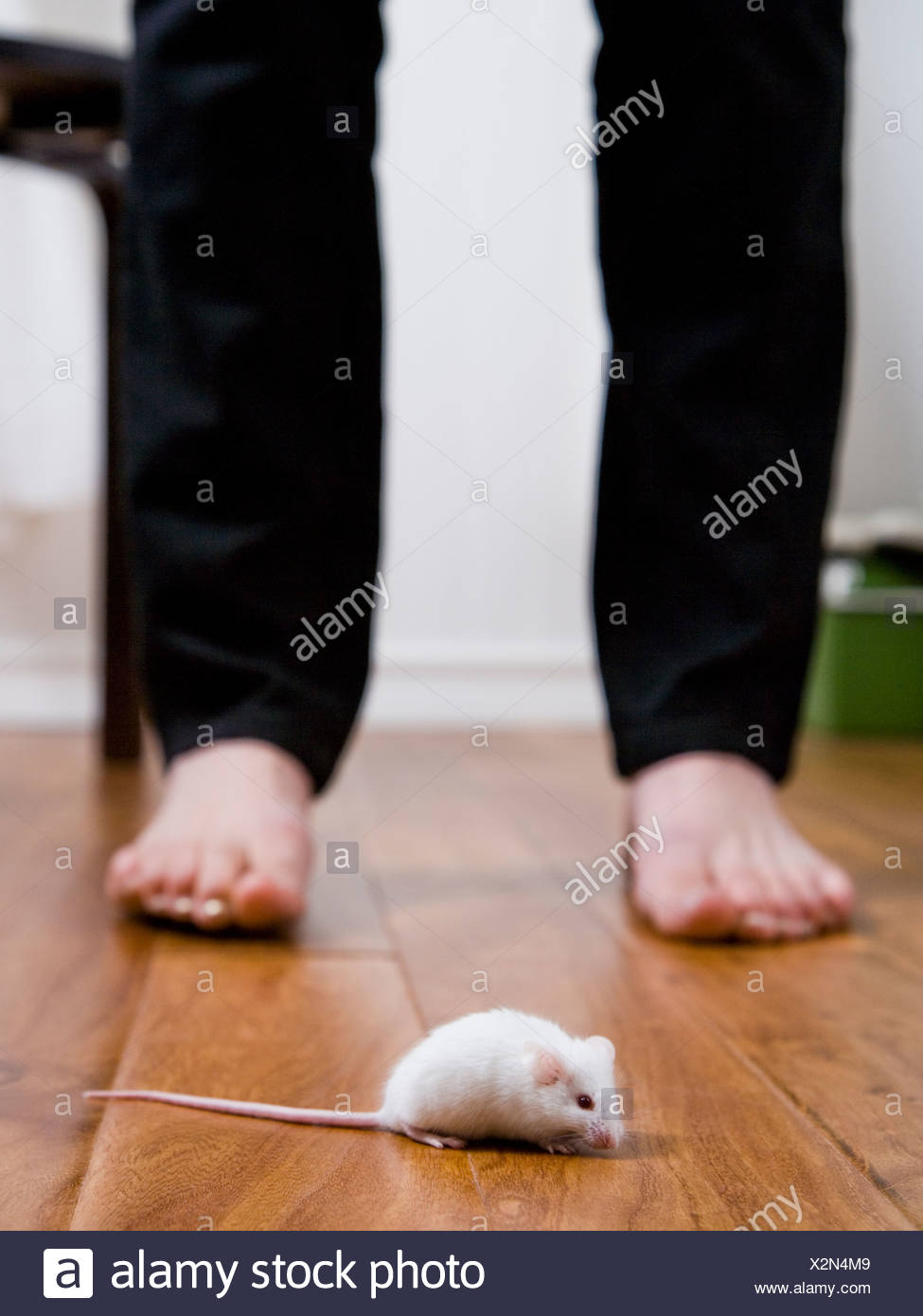 On The Feet And The Face Stock Photos & On The Feet And The Face Stock