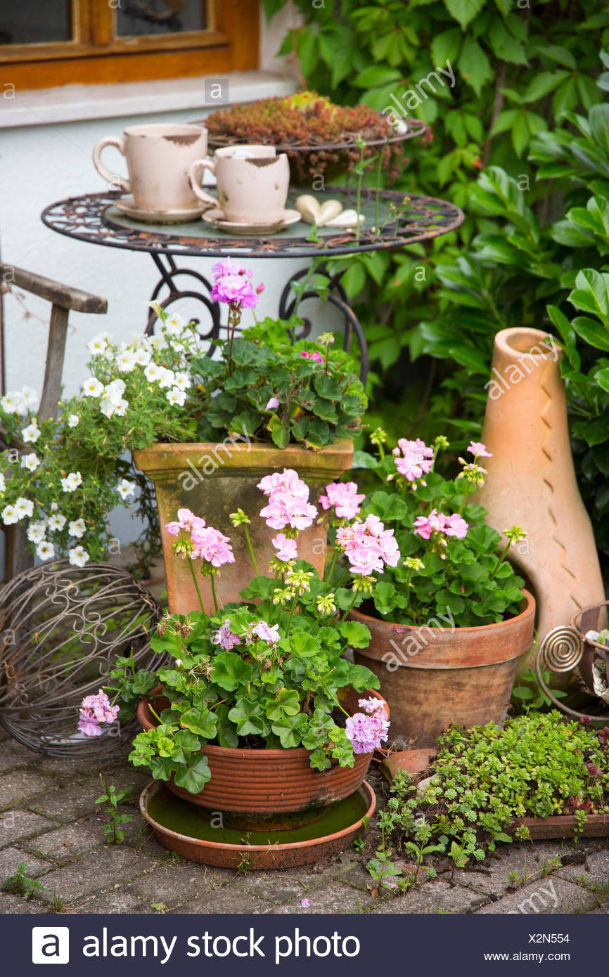 Kleiner Gartentisch Mit Pflanzen Stock Photo 277060256 Alamy
