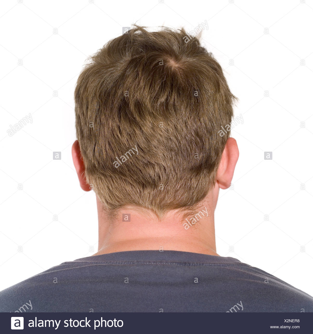 Shorthaired Short Hair Blonde Blond Stock Photos Shorthaired