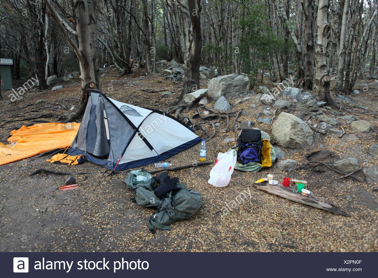 Outdoor Adventure Camping Camping Ground Tent Camp Camping Site Forest Stock Photo Alamy