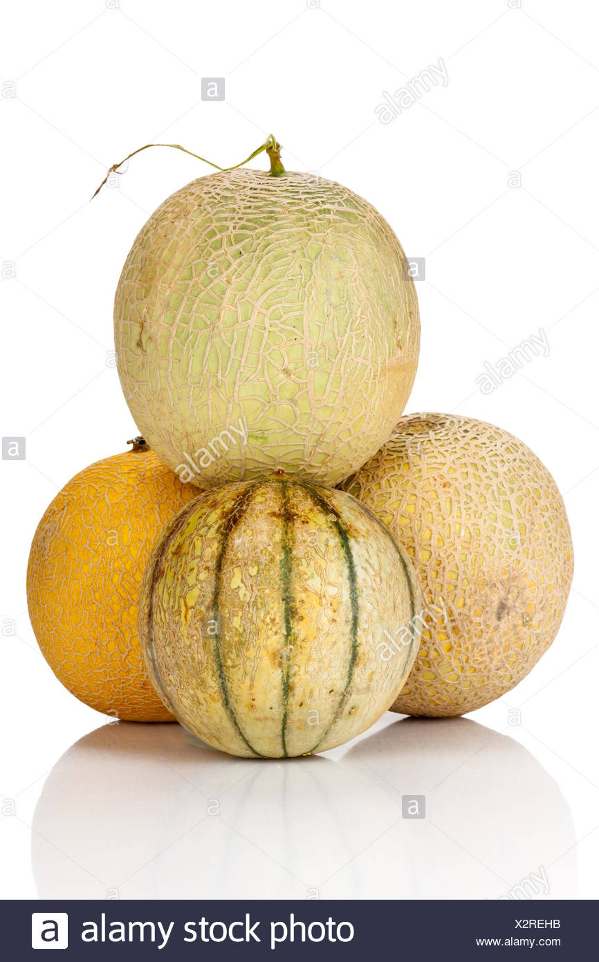 Verschiedene Galiamelonen isoliert und gespiegelt vor weißem Hintergrund Stock Photo