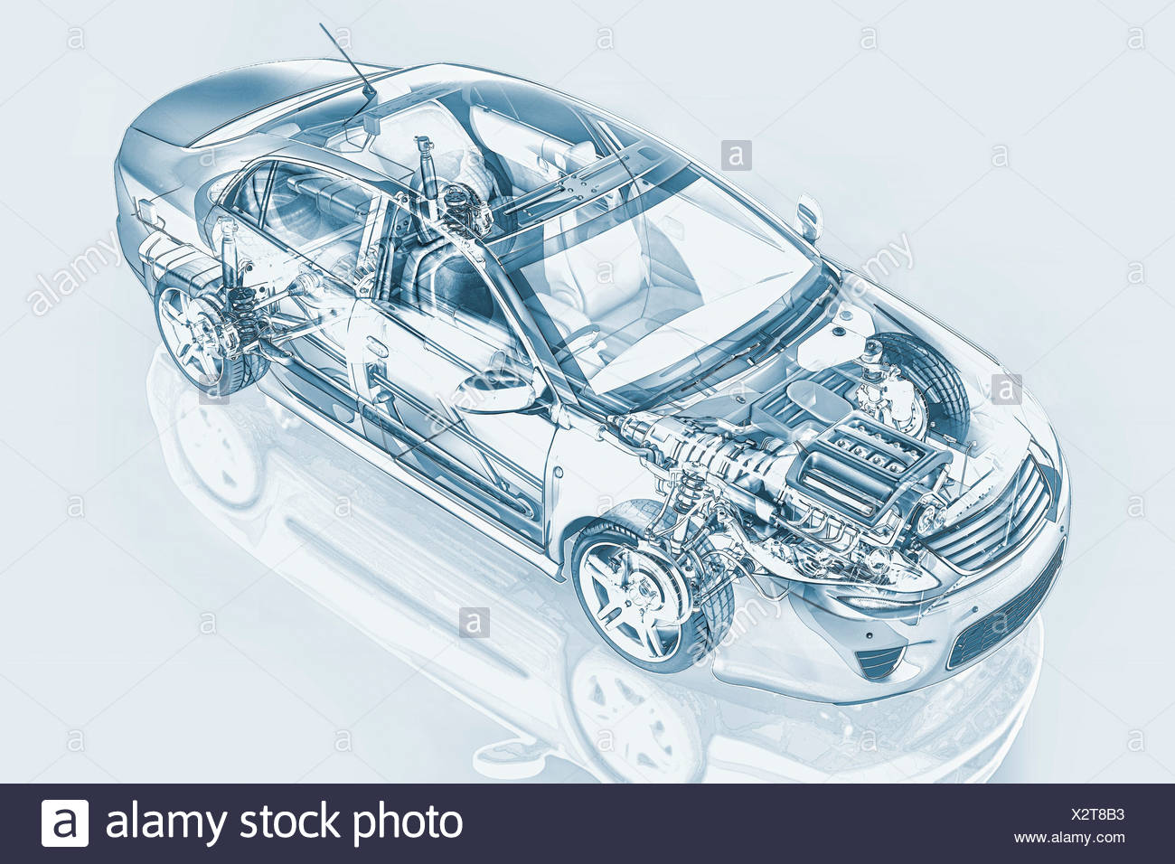 Showing Internal Structure High Resolution Stock Photography and Images ...