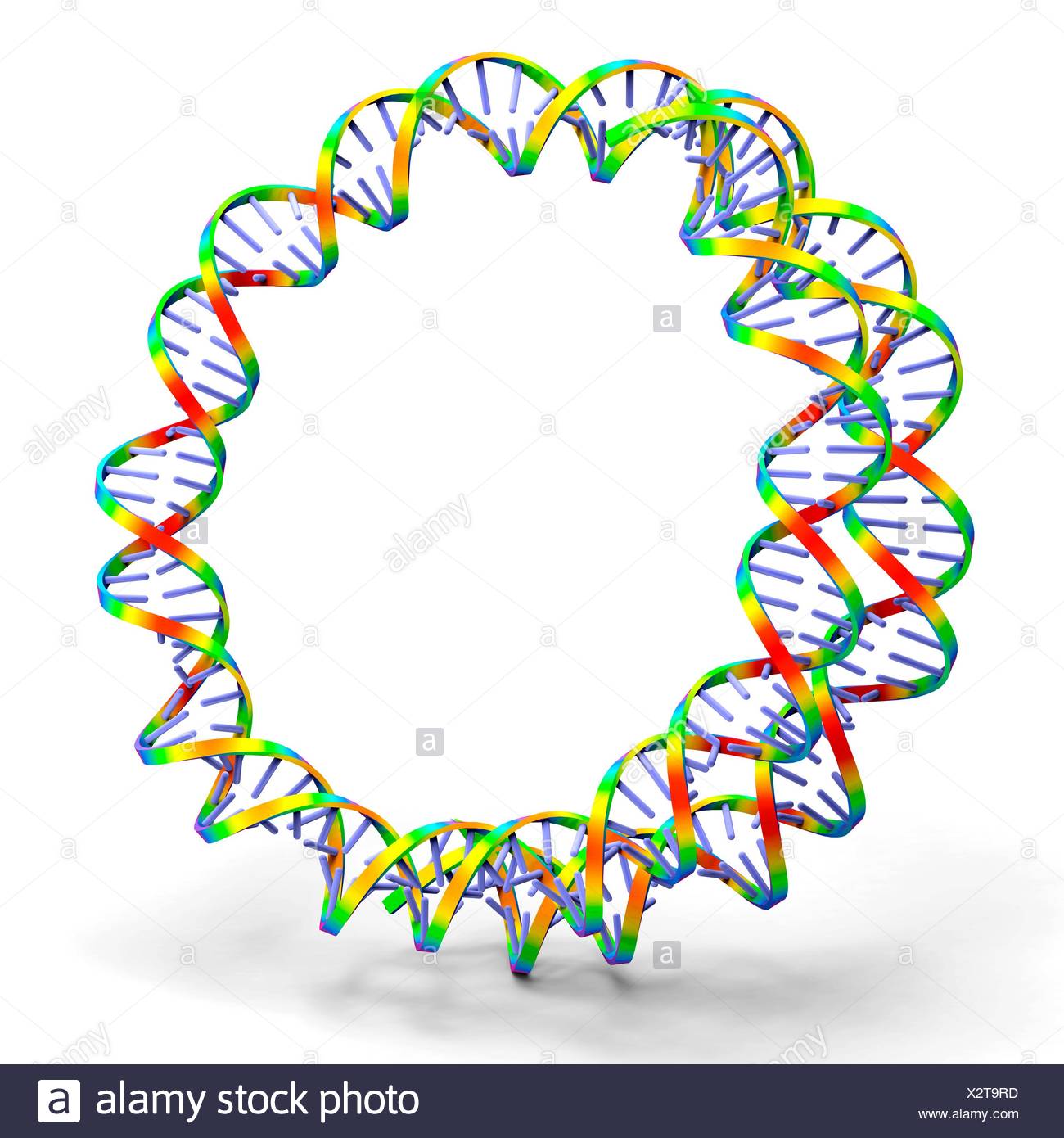 Circular Dna Molecule High Resolution Stock Photography and Images Alamy