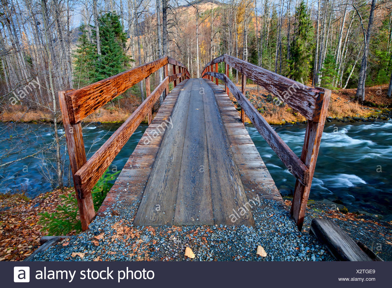 Bridge To Resurrection