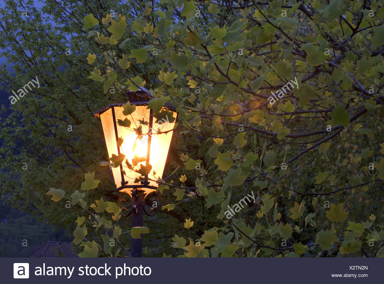 Get Licht aufgehen Desktop Wallpaper Licht Aufgehen