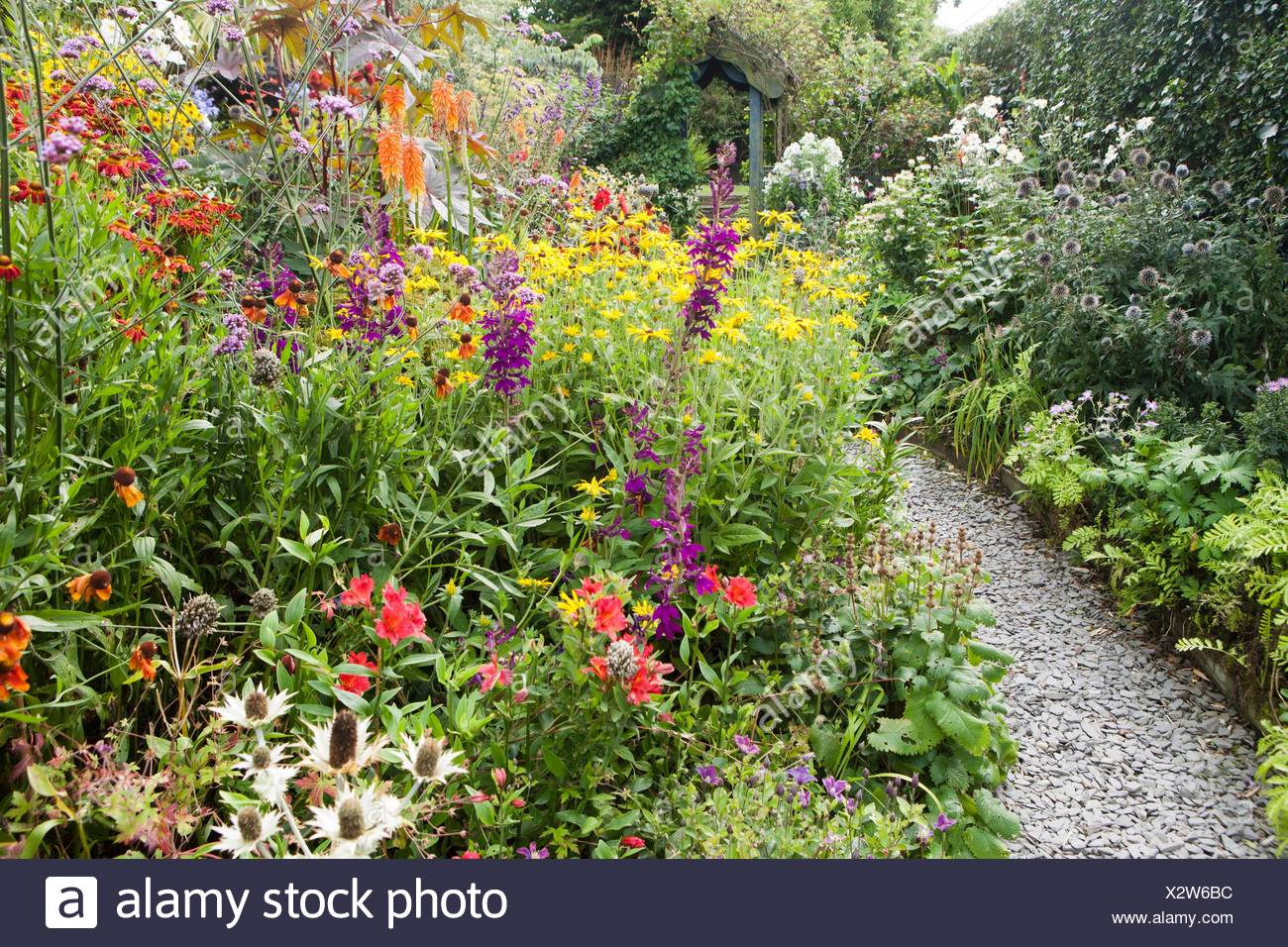 Poppy Cottage Garden On Roseland Peninsula In Cornwall Stock Photo