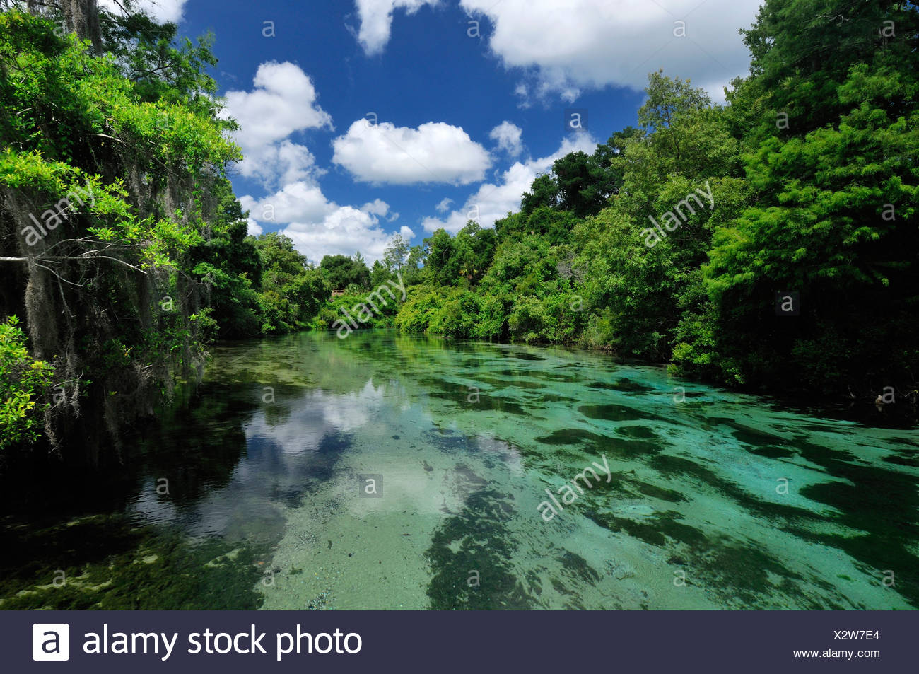 Weeki Wachee Springs State Park High Resolution Stock Photography And