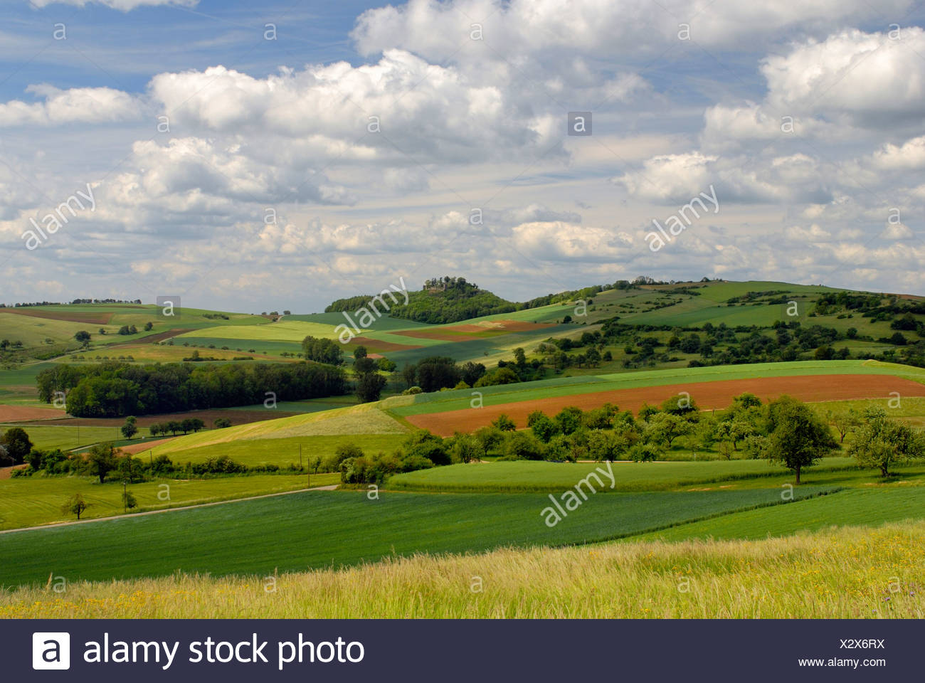Hegau-Landscape - South Germany, Baden Wuerttemberg, Germany, Europe. Stock Photo