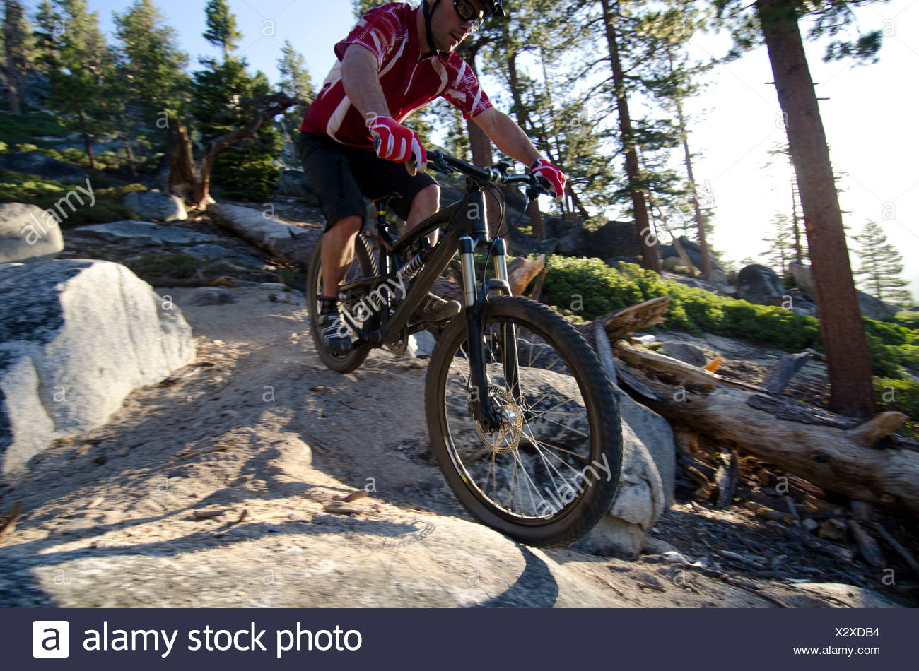 corral trail tahoe