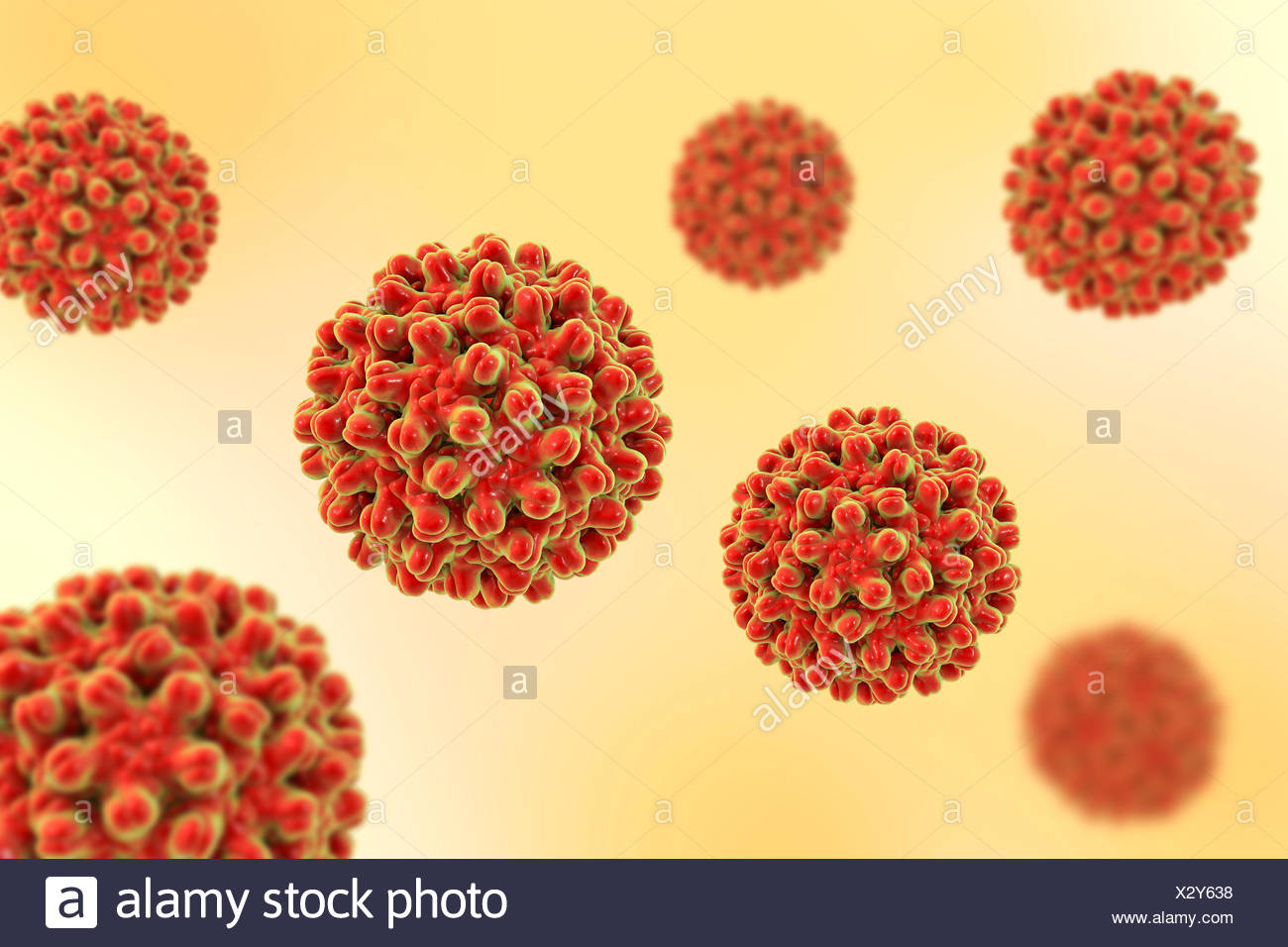 Hepadnaviridae High Resolution Stock Photography and Images Alamy