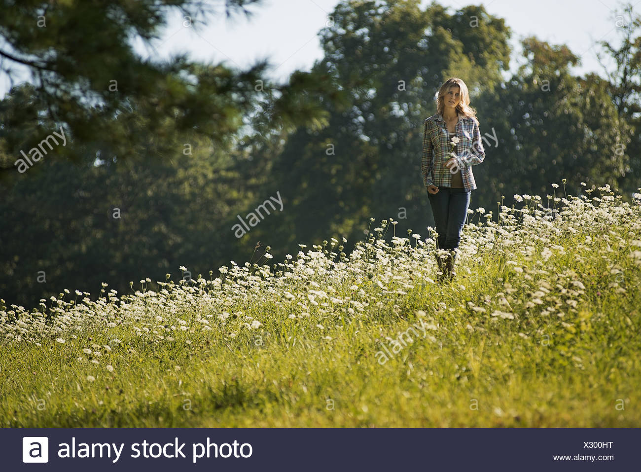 Woodstock New York Usa Young Woman Walking In Wild Flower Meadow Stock Photo Alamy Woodstock New York Usa Young Woman Walking In Wild Flower Meadow Stock Photo Alamy