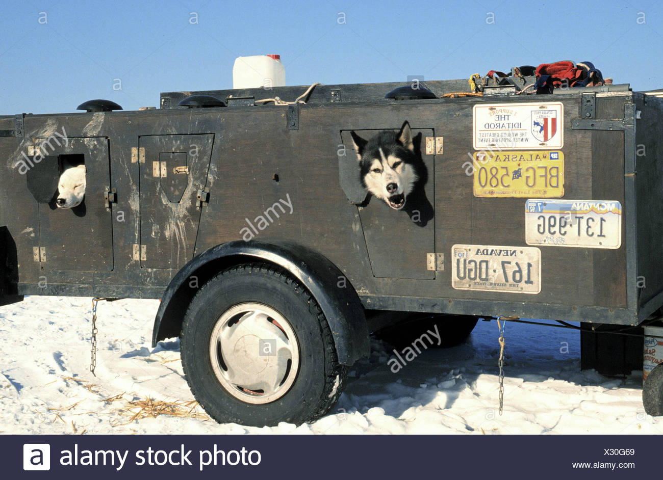 Hundewagen Stock Photos Hundewagen Stock Images Alamy