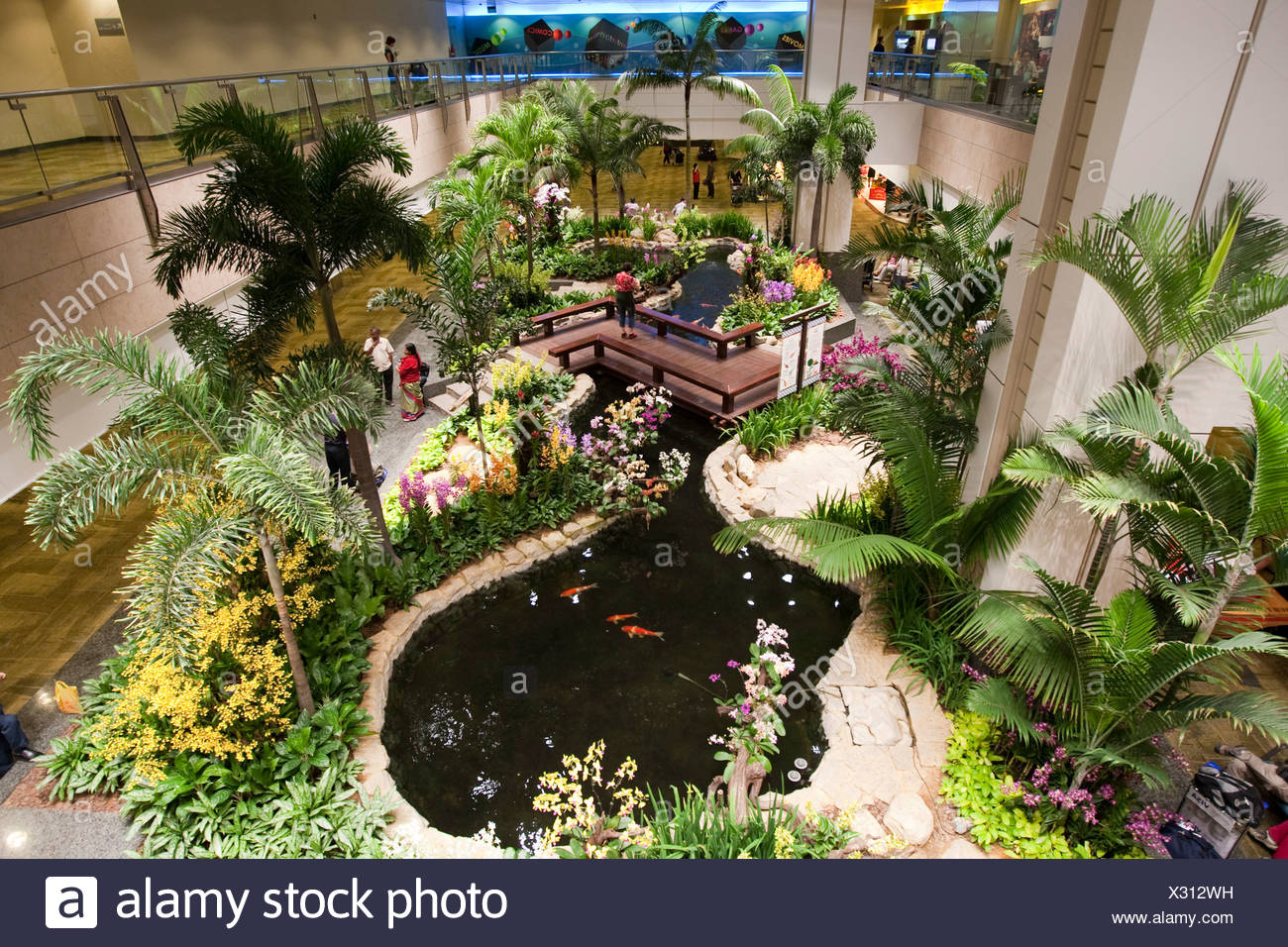 Orchid Garden In Changi Airport Singapore Indonesia Southeast