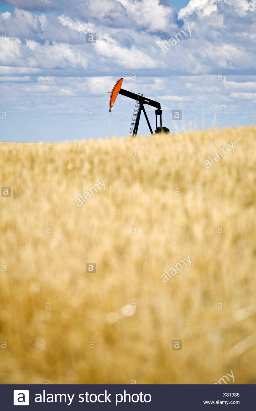 Pump Jack In Field In Alberta High Resolution Stock Photography and