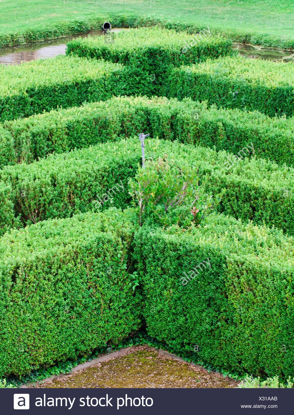 Maze Hedge Pattern Labyrinth High Resolution Stock Photography and ...