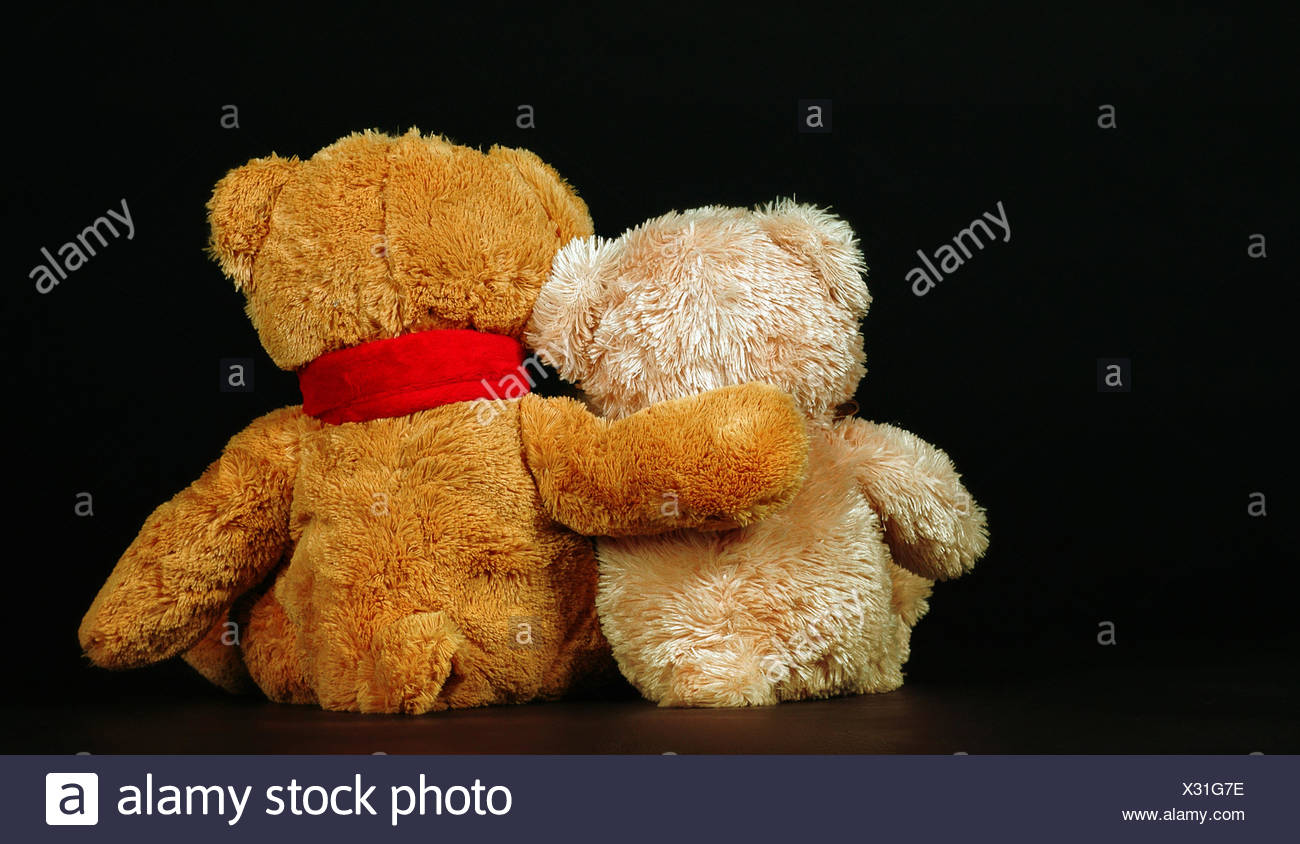 cuddle teddy