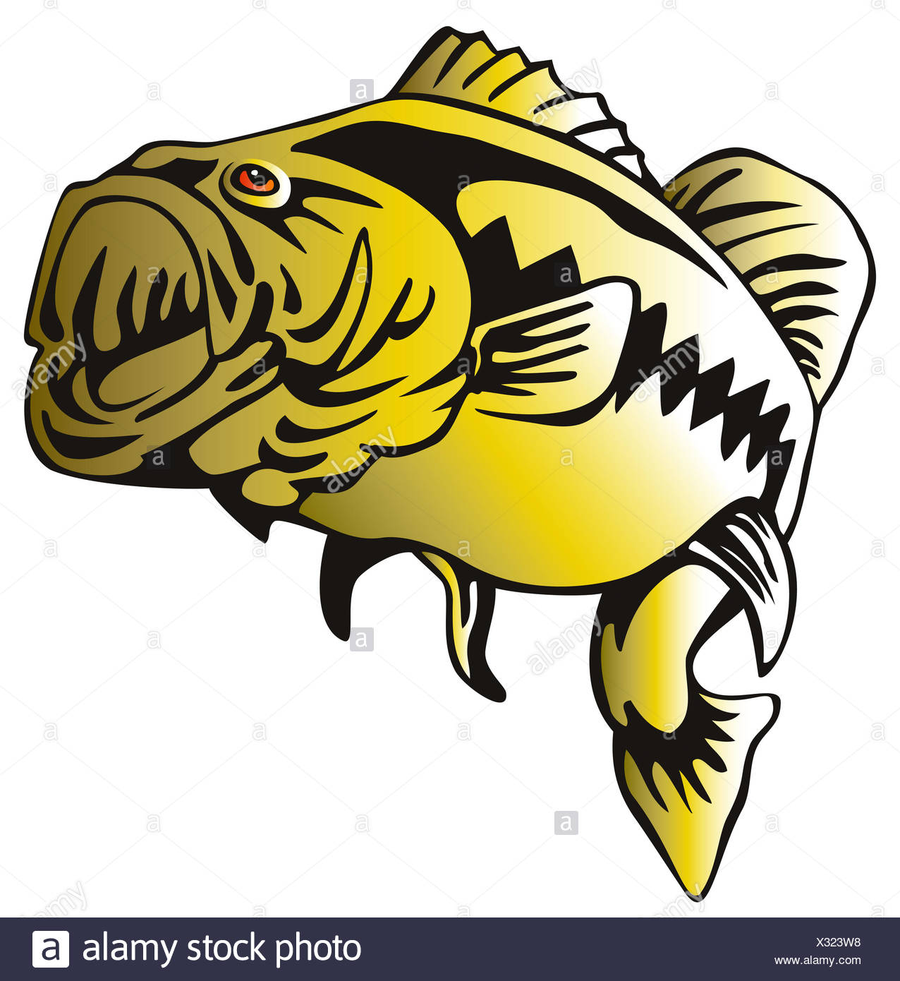 Largemouth Bass Jumping Stock Photos & Largemouth Bass Jumping Stock