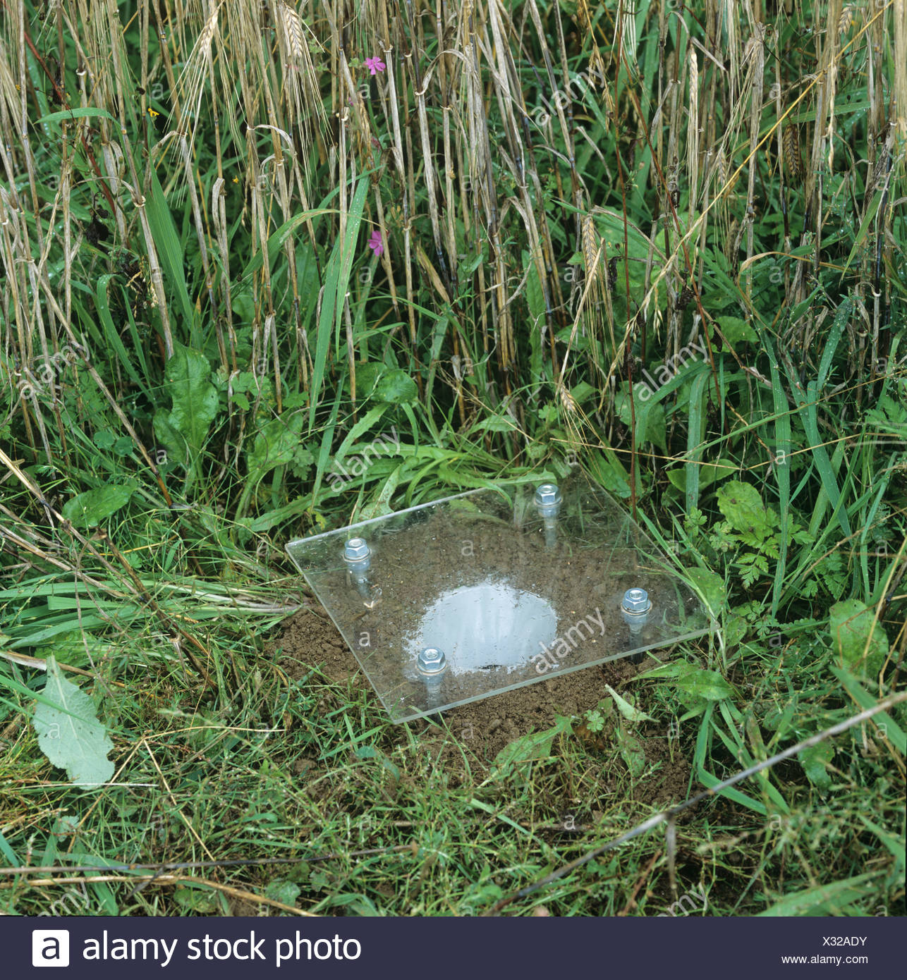 optimal pitfall trap for rainforest optimal pitfall trap for rainforest