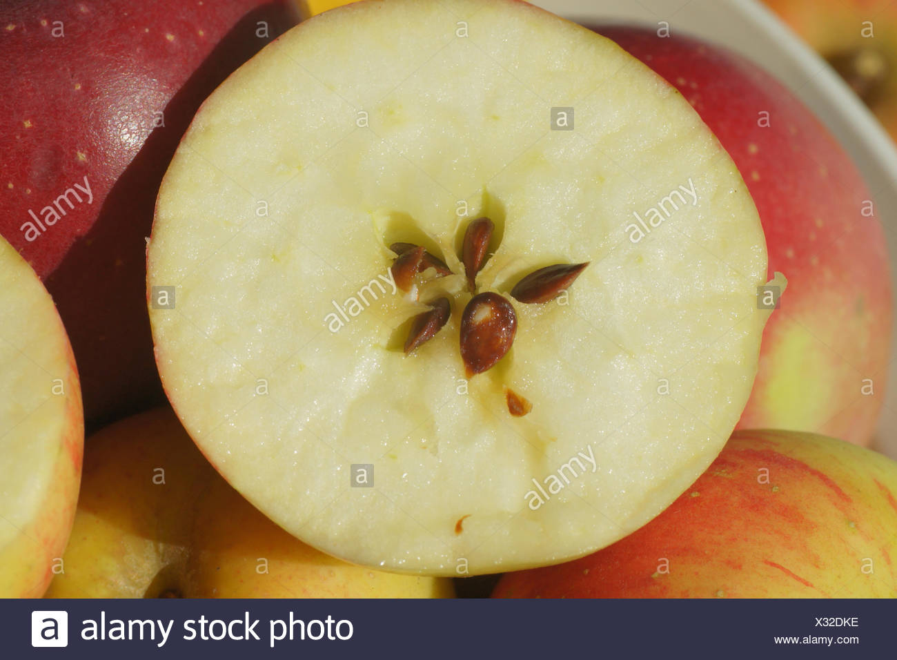 Apfel Kerne Stock Photos & Apfel Kerne Stock Images Alamy