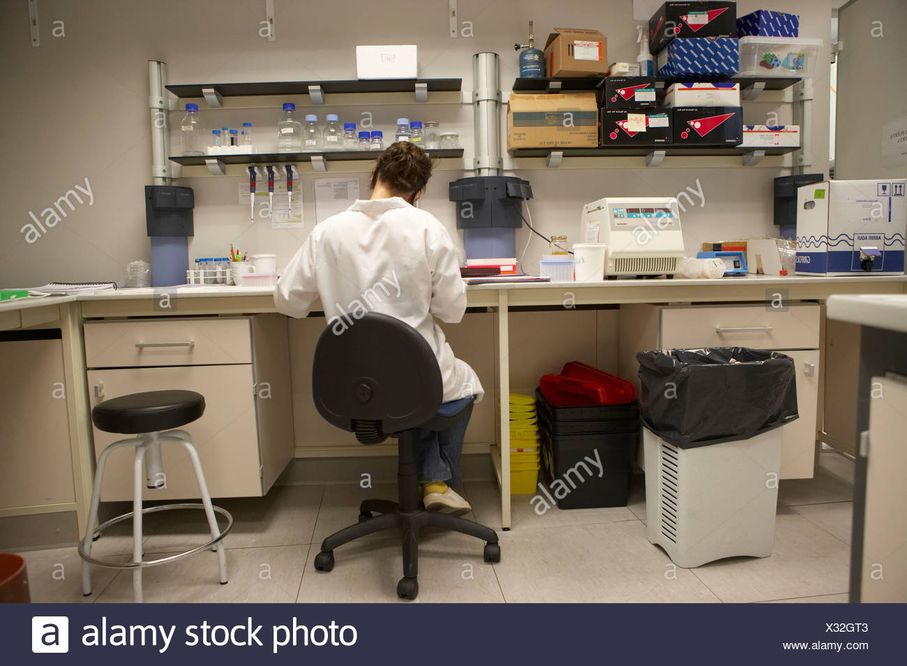 Technical Staff Working On Laboratory Bench Laboratory Fundacion