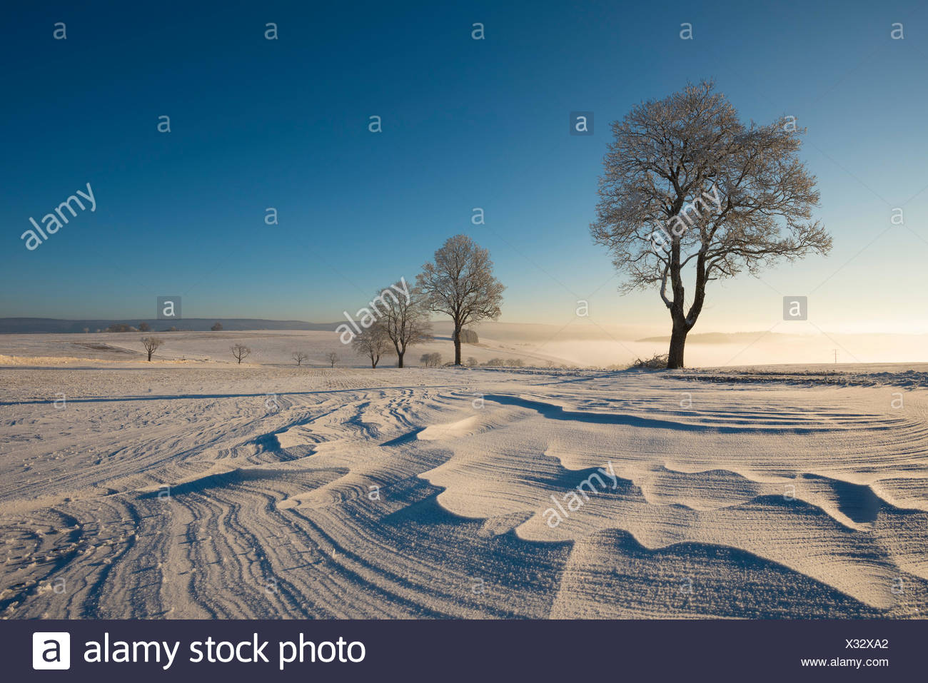 15+ Konstanz Winter Images