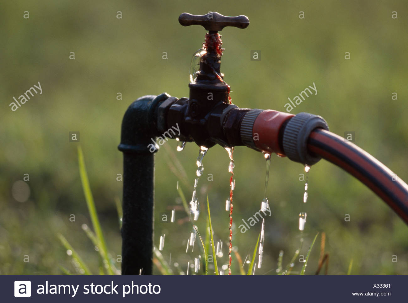 Leaking Taps Stock Photos & Leaking Taps Stock Images Alamy
