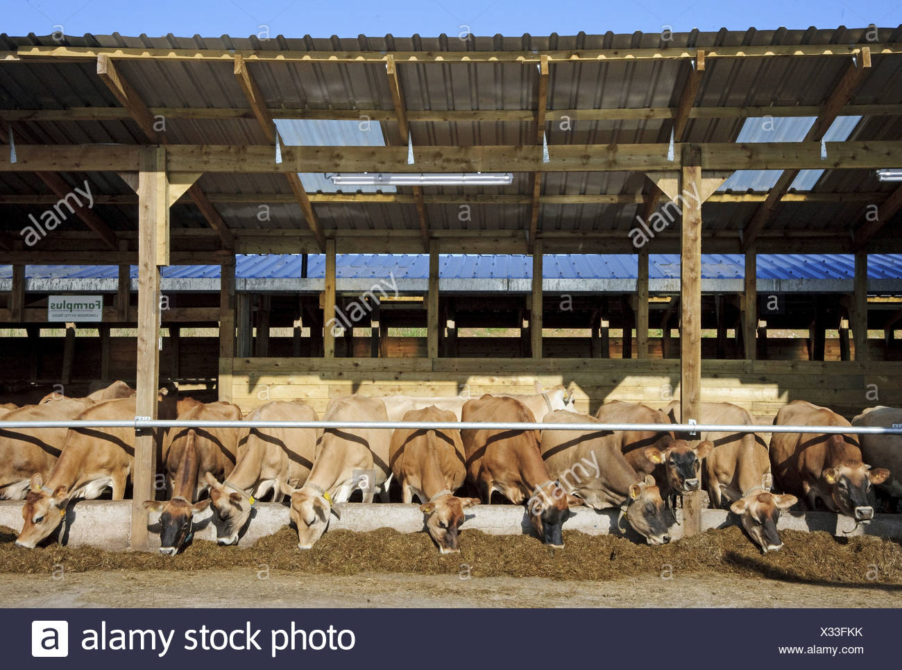 Total Mixed Ration High Resolution Stock Photography and Images Alamy