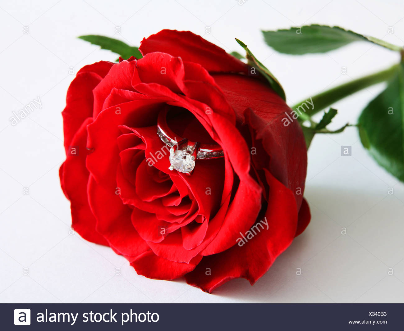 An Engagement Ring In A Red Rose Signifying A Proposal Of Marriage