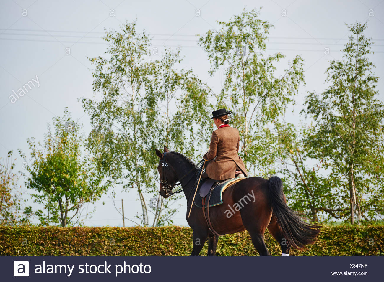 Dressage Rider Stock Photos & Dressage Rider Stock Images - Alamy