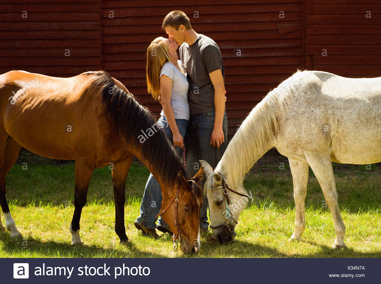 Horse Kiss Stock Photos And Horse Kiss Stock Images Alamy