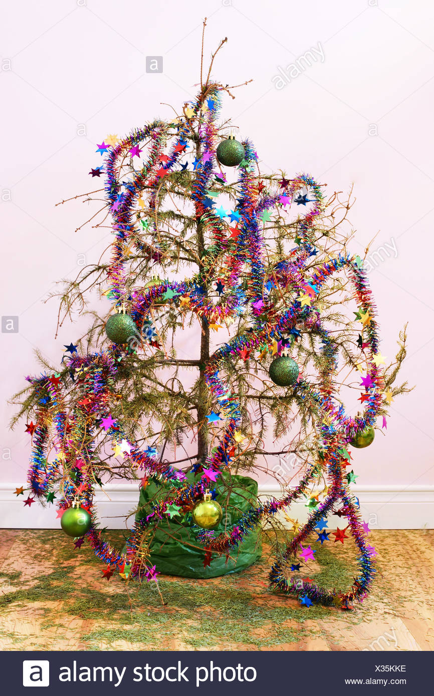 Dead Christmas Tree Stock Photos Dead Christmas Tree Stock